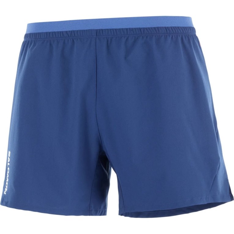 Blue Salomon Cross 5'' Men's Shorts | IE GO9042